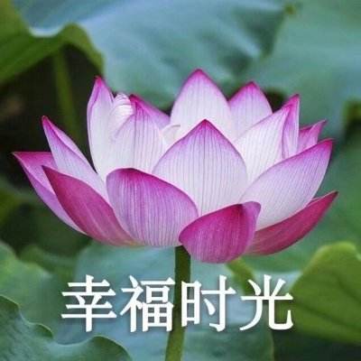 神武刀剑手机版(暂未上线)v1.0.1 安卓最新版