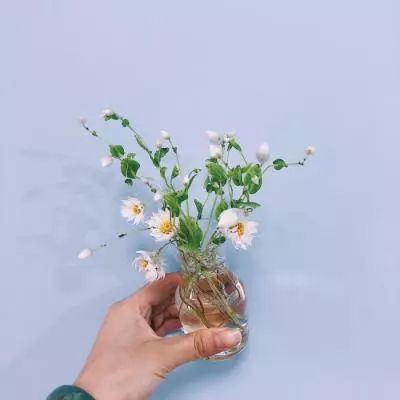 凤年传手游抖音版